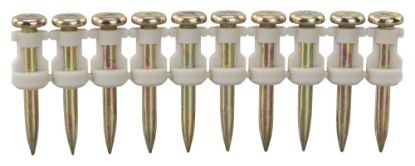 Afbeelding - https-www-ez-catalog-nl-Asset-bba6b68addeb42eb8e2f5c5de138771b-ImageFullSize-196291-0-C1C0-jpg